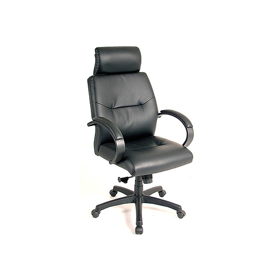Eurotech High Back Leather Chair
