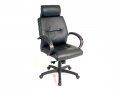 Eurotech High Back Leather Chair