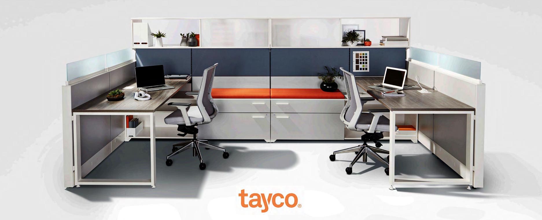 tayco-bottom-banner